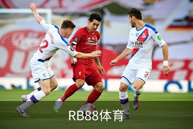 RB88体育公司介绍图